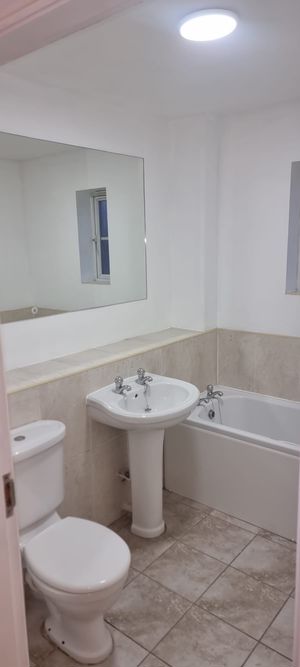 Brookfield West Allotment